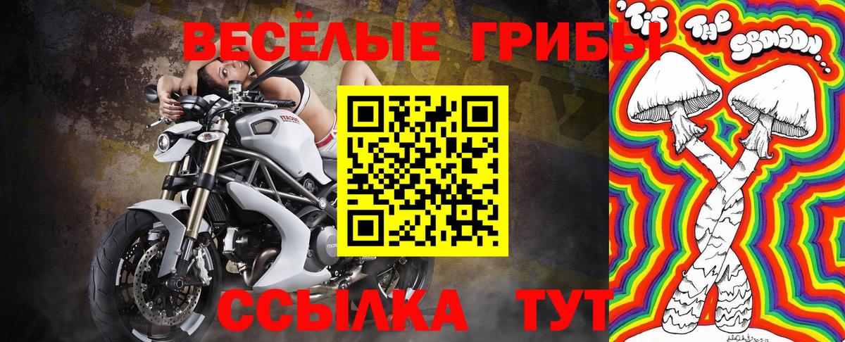 купить   Галлюциногенные грибы GOLDEN TEACHER  Октябрьский  Вход с VPN  Галлюциногенные грибы Cubensis 