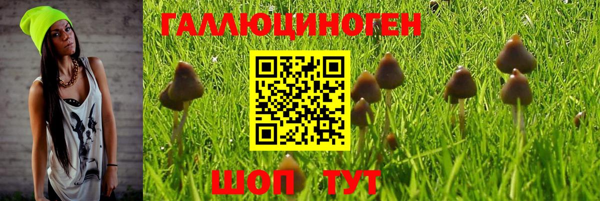 Галлюциногенные грибы ЛСД Октябрьский