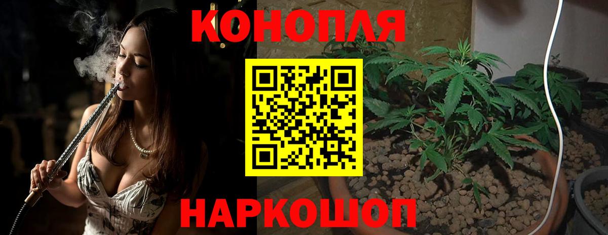 Октябрьский  Бошки Шишки OG Kush  Вход с VPN  МАРИХУАНА сатива  Конопля тримм 